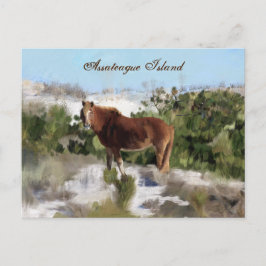 Assateague Island Wild Horse Briefkaart