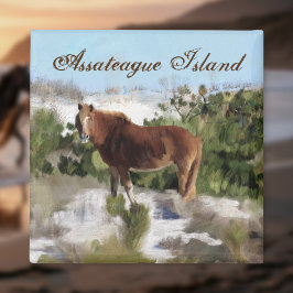 Assateague Island Wild Horse Magneet