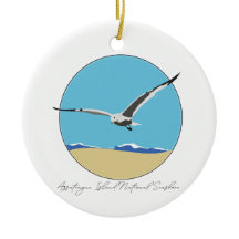 Assateague Island Zee Gull over het strand