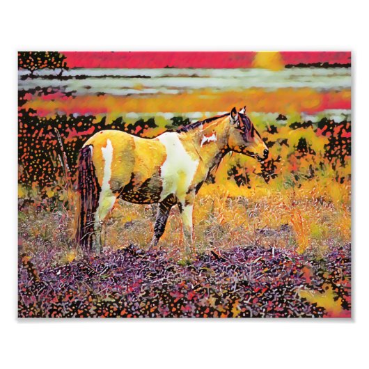 Assateague of Chincoteague pony's Foto Afdruk (Voorkant)
