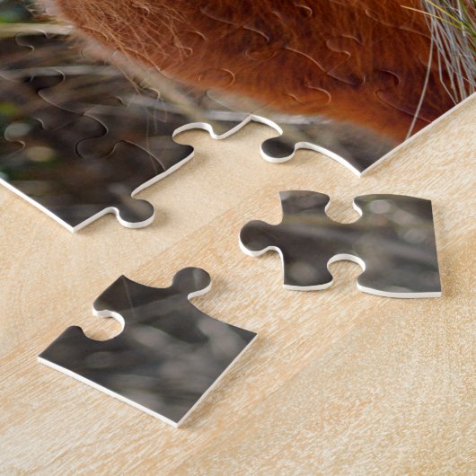 Assateague Pinto Mare Ms Macky Legpuzzel (Zijkant)