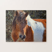 Assateague Pinto Mare Ms Macky Legpuzzel (Horizontaal)