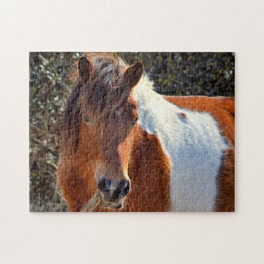 Assateague Pinto Mare Ms Macky Legpuzzel (Horizontaal)