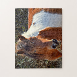 Assateague Pinto Mare Ms Macky Legpuzzel