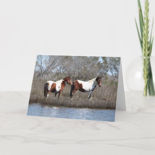Assateague Ponies, bedankt Feestdagen Kaart (Voorkant)