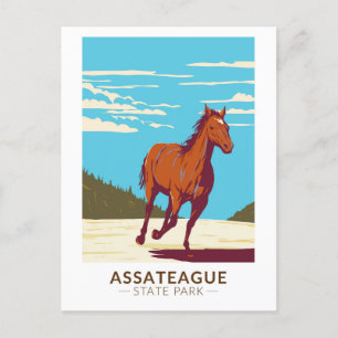 Assateague State Park Maryland Badge Briefkaart