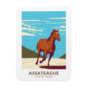 Assateague State Park Maryland Badge Magneet