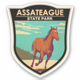 Assateague State Park Maryland Badge Sticker