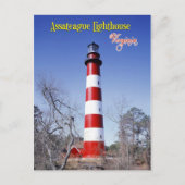 Assateague vuurtoren, Virginia Briefkaart (Voorkant)