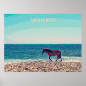 Assateague Wild Horse Beach Poster (Voorkant)