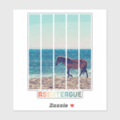 Assateague Wild Horse Beach Sticker (Vel)