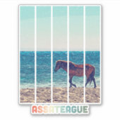 Assateague Wild Horse Beach Sticker (Voorkant)