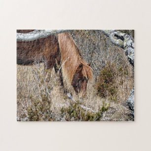 Assateague Wild Horse Jigwaw Legpuzzel