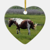 Assateague Wild Horse Keramisch Ornament (Voorkant)