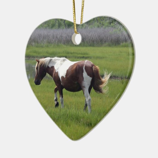 Assateague Wild Horse Keramisch Ornament (Links)