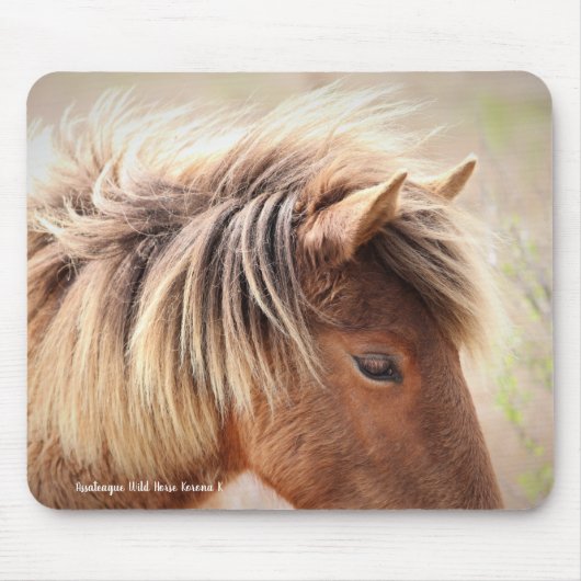 Assateague Wild Horse Muismat (Voorkant)