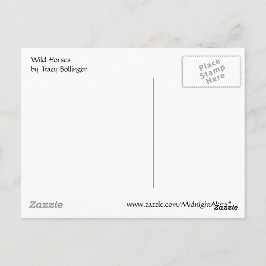 Assateague Wild Horses 2 Briefkaart (Achterkant)