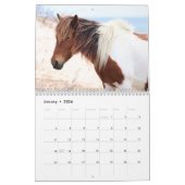 Assateague Wild Horses Calendar Kalender (Jan 2026)