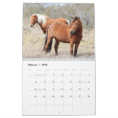 Assateague Wild Horses Calendar Kalender (Feb 2026)