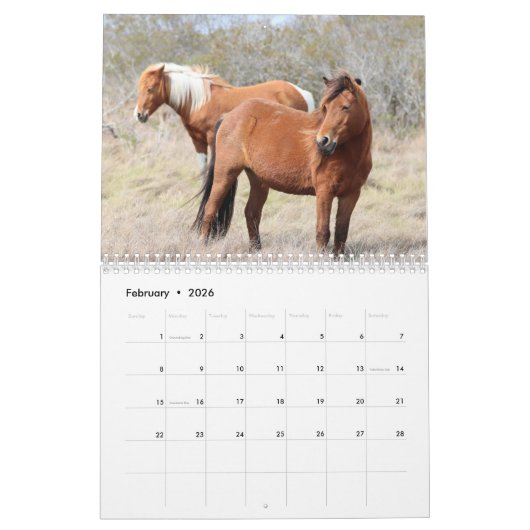 Assateague Wild Horses Calendar Kalender (Feb 2026)