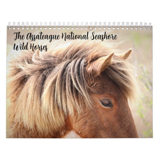 Assateague Wild Horses Calendar Kalender (Hoes)