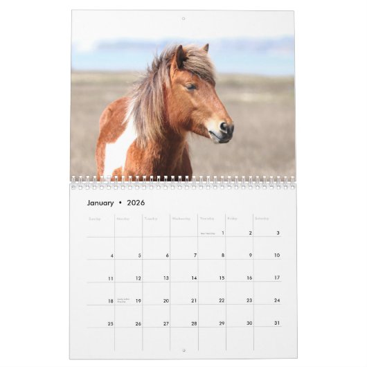 Assateague Wild Horses Calendar Kalender (Jan 2026)