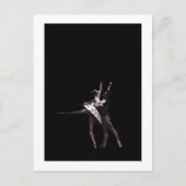 Assepoester Briefkaart (Voorkant)