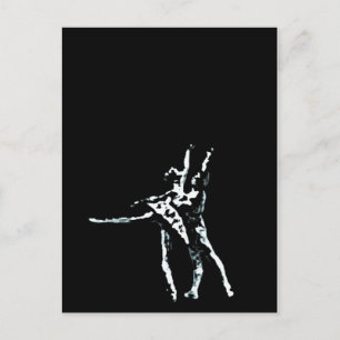 Assepoester Briefkaart