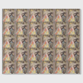 Assepoester en keiharde godmoeder,  feiharde schil cadeaupapier (Vlak)