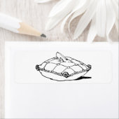 Assepoester Glas Slipper en Kussen Kleine Labels (Insitu)