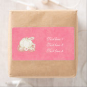 Assepoester Gouden Koets Roze Roze Prinses Label (Insitu)