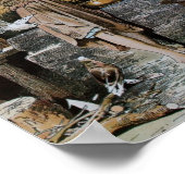  Assepoester Poster (Hoek)