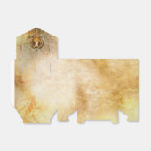  Assepoester Prinses Douche Party Favor Bag Bedankdoosjes (Uitgevouwen)