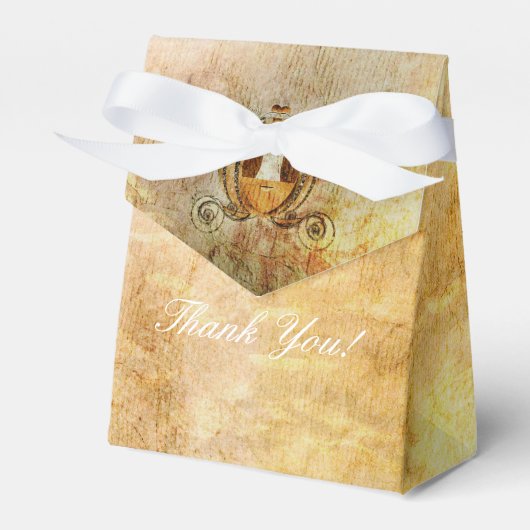  Assepoester Prinses Douche Party Favor Bag Bedankdoosjes (Voorkant Zijde)