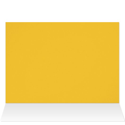 Assepoester Slipper op Blauwgroen Oranje piloot (Binnen Horizontaal (Boven))