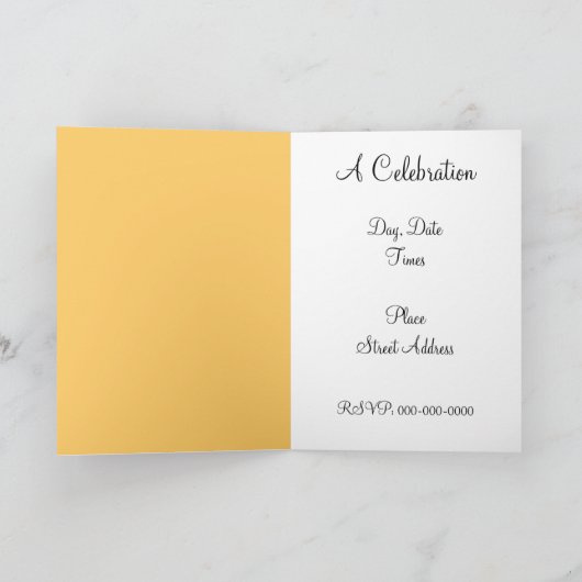 Assepoester Slipper Teal Oranje Kussen Aangepaste  (Binnen)