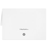 Assepoester  sprookkunst (Achterkant Horizontaal)