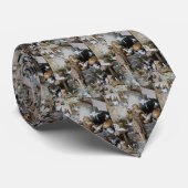  Assepoester Stropdas (Opgerold)