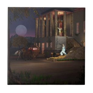 Assepoester Tegeltje