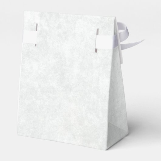 Assepoester Zilveren Carriage Witte Partij Favor B Bedankdoosjes (Achterkant)