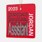 Assistent Buitengewoon CUSTOM Keramisch Ornament (Links)