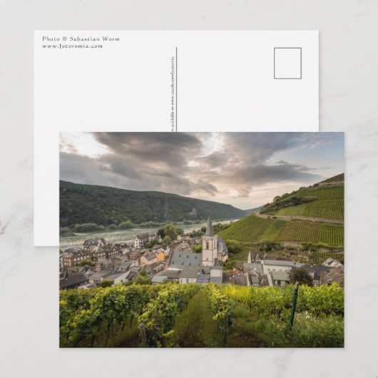 Assmannshausen Briefkaart (Voorkant / Achterkant)
