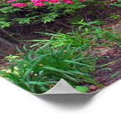 Assorbitant noordelijke hoogten Azaleas Poster (Hoek)