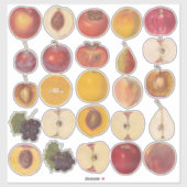 Assortage  Fruit Illustratie Vinyl Sticker (Vel)