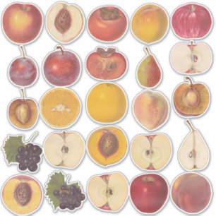 Assortage Fruit Illustratie Vinyl Sticker