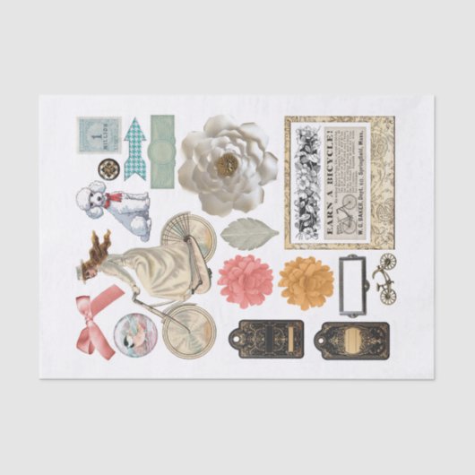 Assorte Collectie van Random Ephemera Fussy Cuts Tissuepapier (Voorkant)