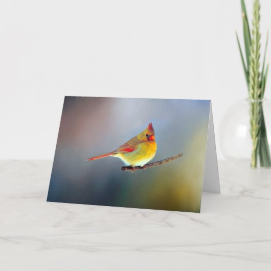 Assorted Note Cards Kaart (Voorkant)