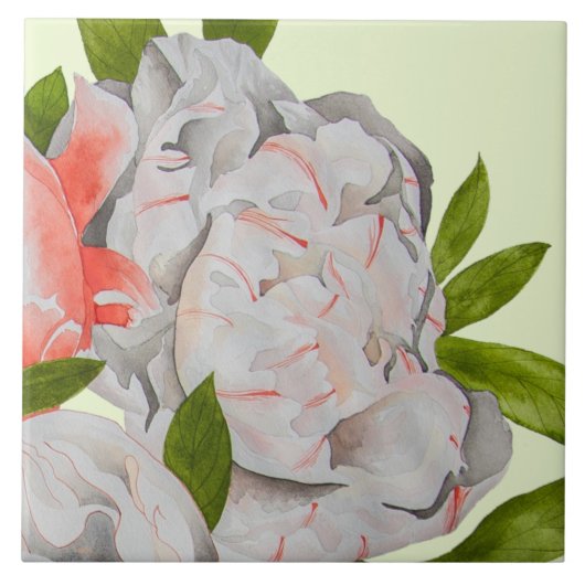 Assorted Peonies on a Ceramic Tile (D) Tegeltje (Voorkant)