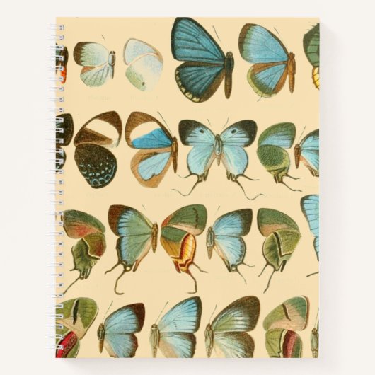 Assorteer Butterfly Hardcover Spiral Sketchbook Notitieboek (Voorkant)