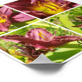 Assortiment rode lelies poster (Hoek)